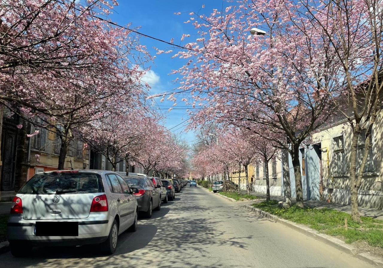 Dulcineea Downtown Garden Studio تيميشورا المظهر الخارجي الصورة