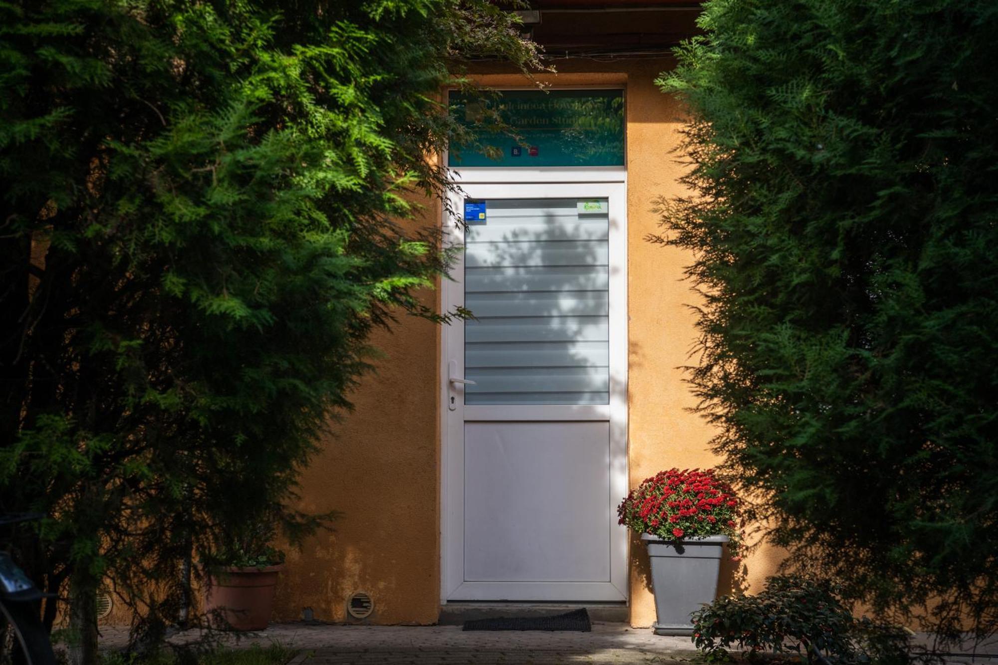 Dulcineea Downtown Garden Studio تيميشورا المظهر الخارجي الصورة